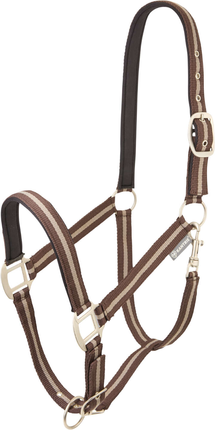 KANTRIE Halfter Stripes